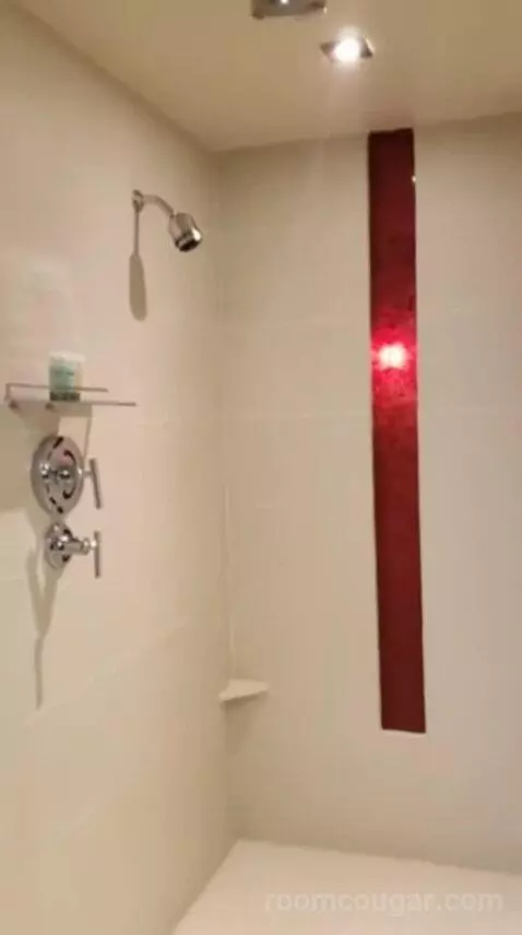 Luxury King Room bathroom picture #12