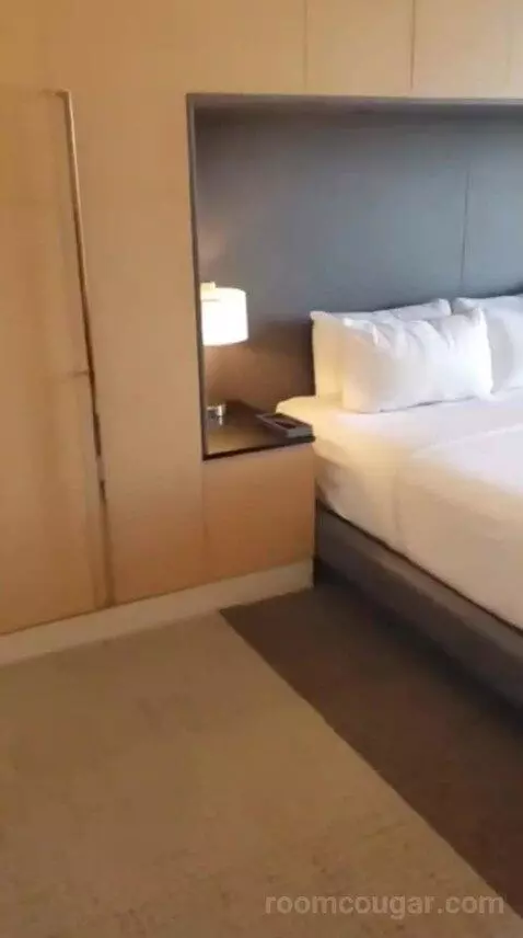 Capital King Room bed picture #1