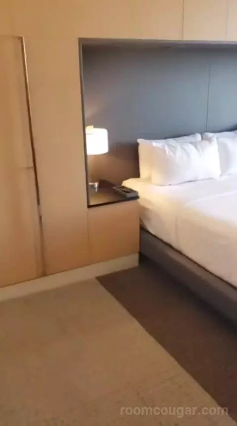 Capital King Room bed picture #2