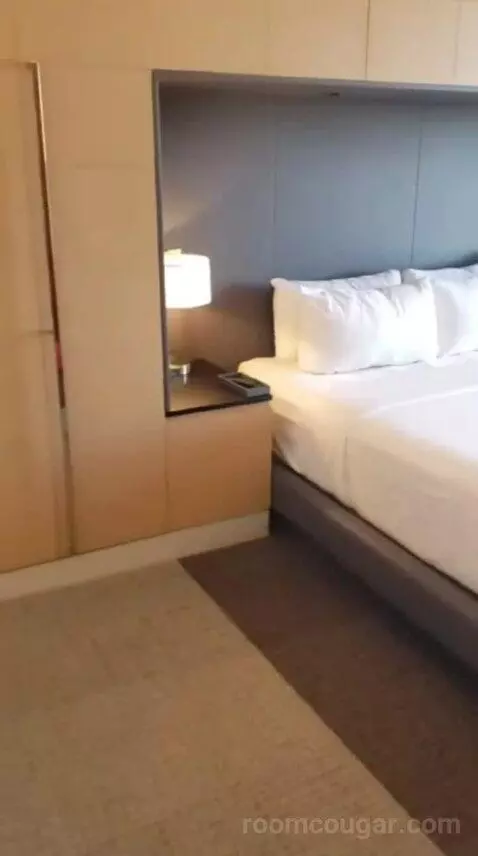 Capital King Room bed picture #3