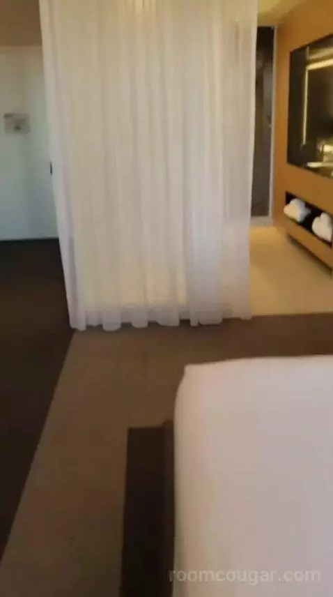 Capital King Room bed picture #7