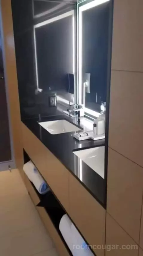 Capital King Room bathroom picture #1