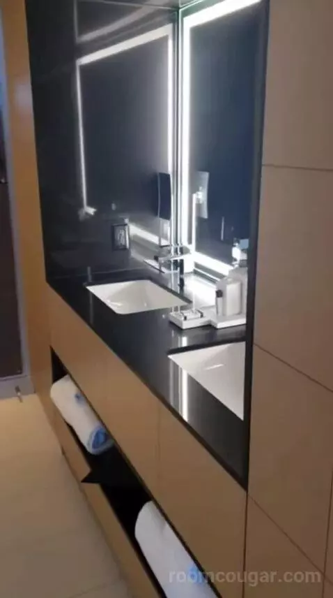 Capital King Room bathroom picture #2