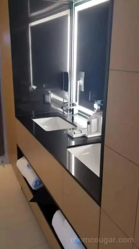 Capital King Room bathroom picture #3