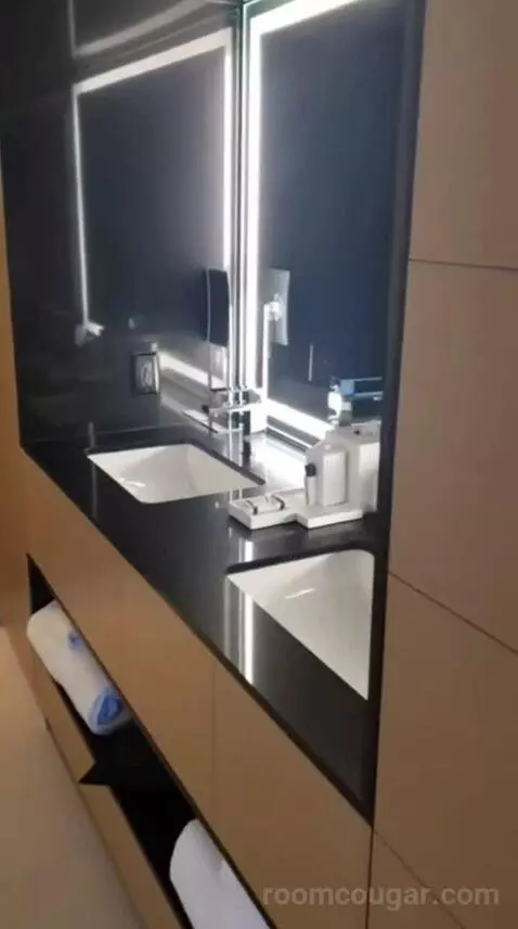 Capital King Room bathroom picture #5