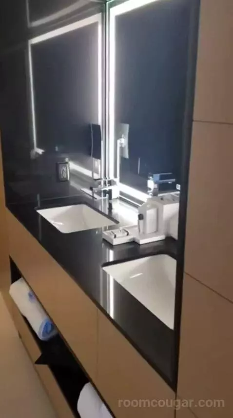 Capital King Room bathroom picture #6