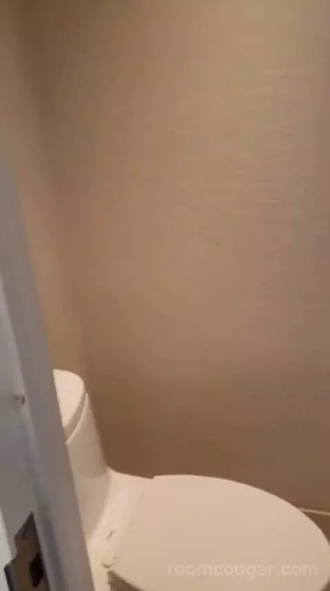 Capital King Room bathroom picture #7