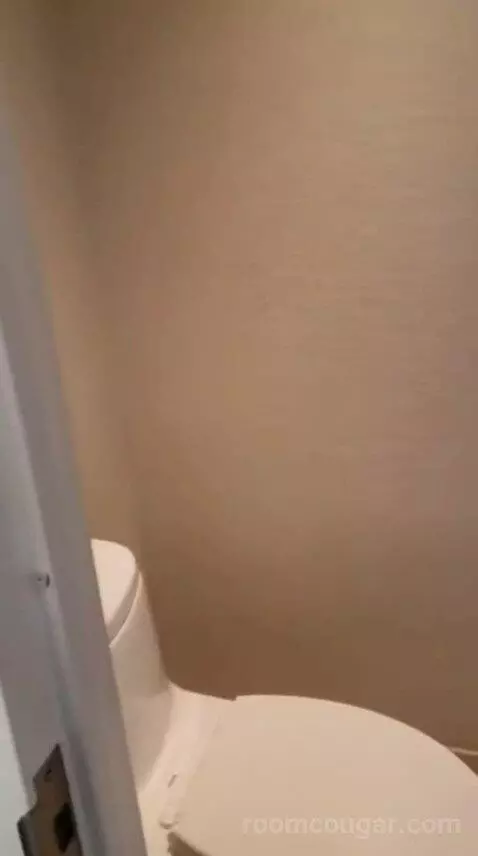 Capital King Room bathroom picture #8