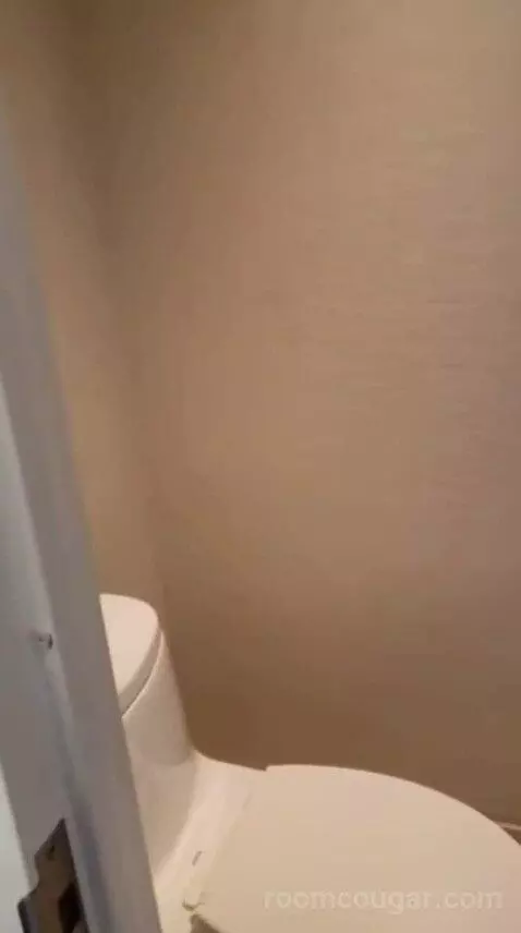 Capital King Room bathroom picture #9