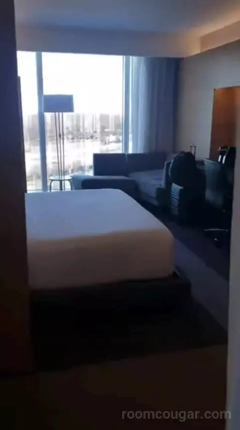 Capital King Room bed picture #12