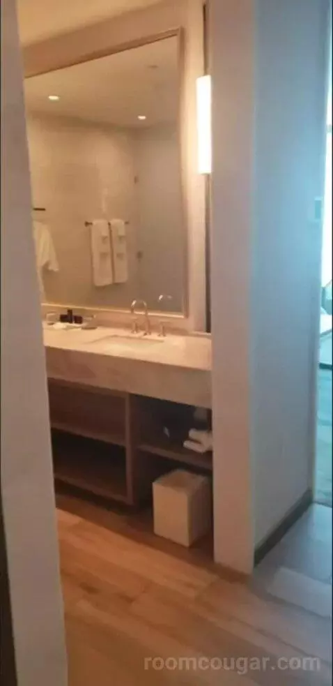 Deluxe King Room (Oasis Tower ) bathroom picture #1
