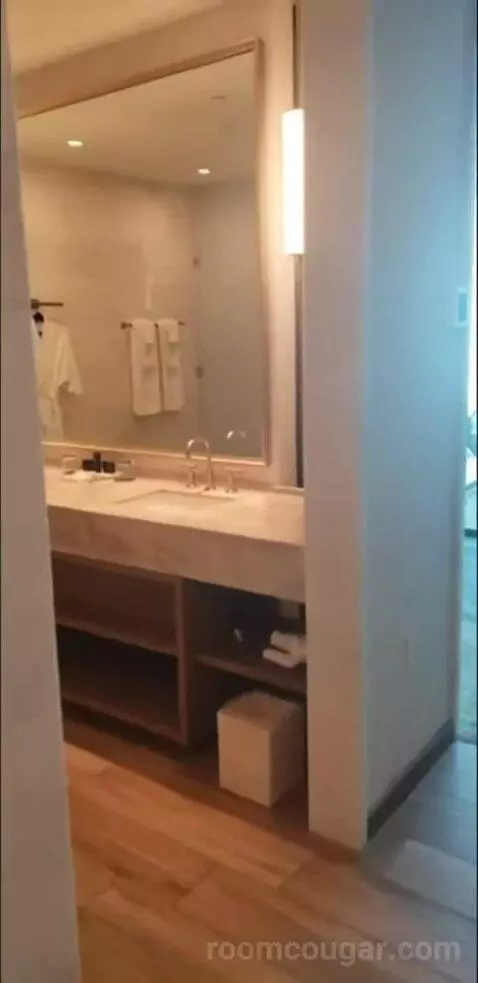 Deluxe King Room (Oasis Tower ) bathroom picture #2