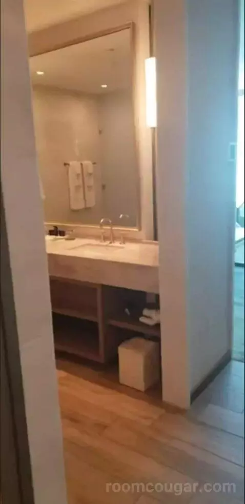 Deluxe King Room (Oasis Tower ) picture #1