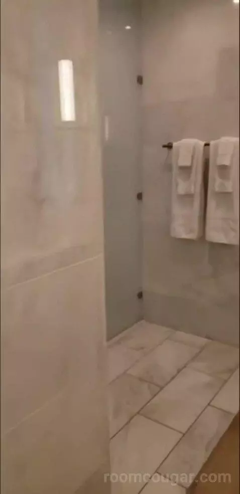 Deluxe King Room (Oasis Tower ) bathroom picture #4