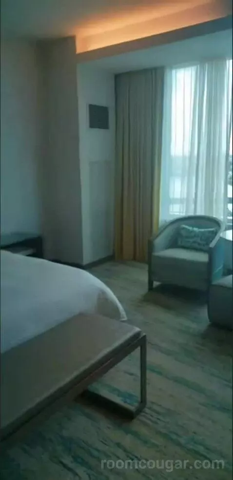 Deluxe King Room (Oasis Tower ) bed picture #1