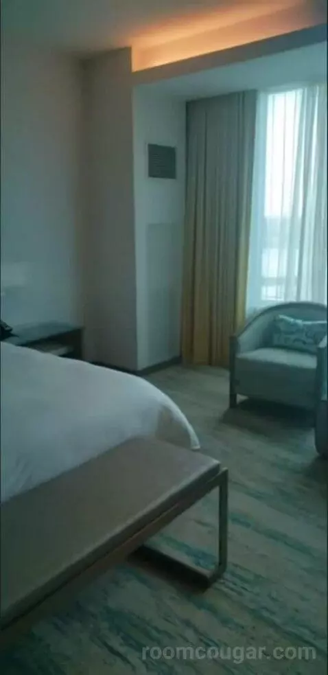 Deluxe King Room (Oasis Tower ) bed picture #2
