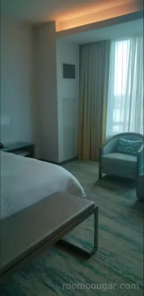 Deluxe King Room (Oasis Tower ) picture #17