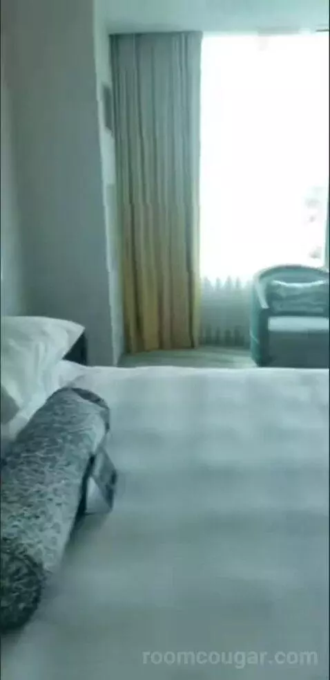 Deluxe King Room (Oasis Tower ) bed picture #7
