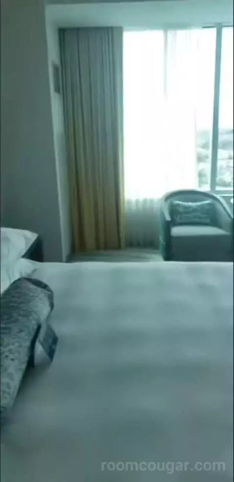 Deluxe King Room (Oasis Tower ) picture #19