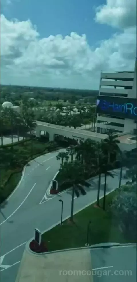 Deluxe King Room (Oasis Tower ) view picture #6