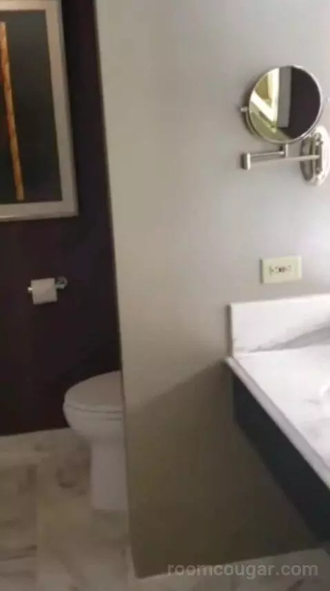 Executive King Suite bathroom picture #4
