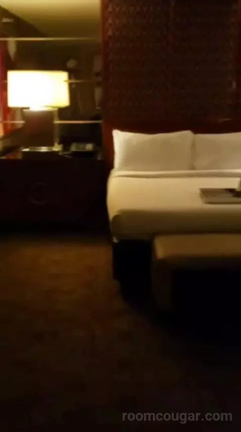 Executive King Suite bed picture #8