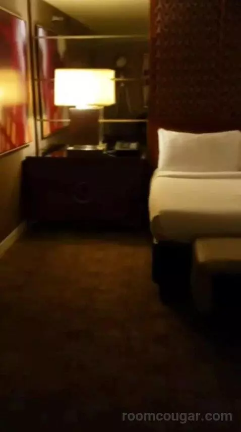 Executive King Suite bed picture #10