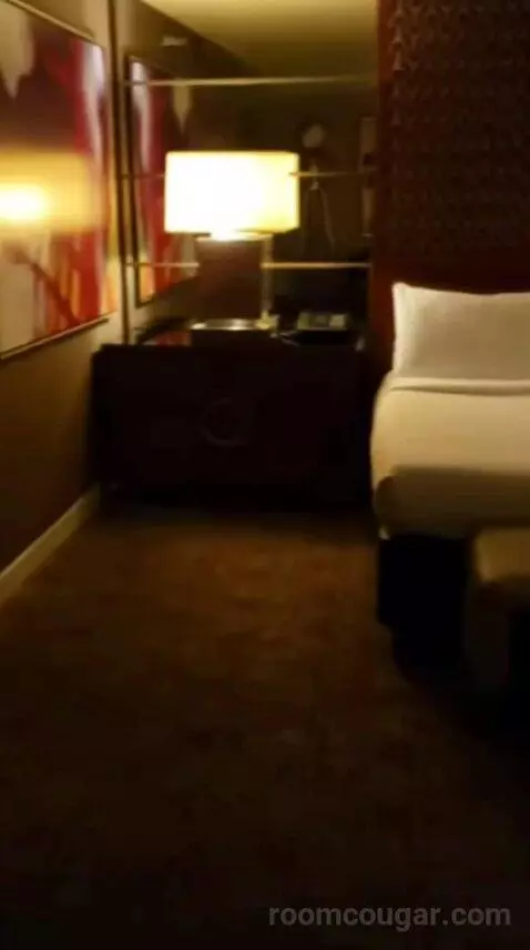 Executive King Suite bed picture #11