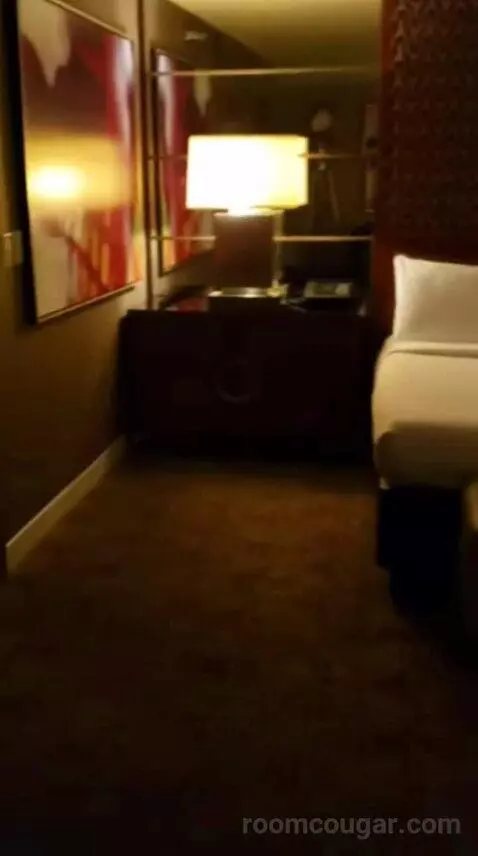 Executive King Suite bed picture #12