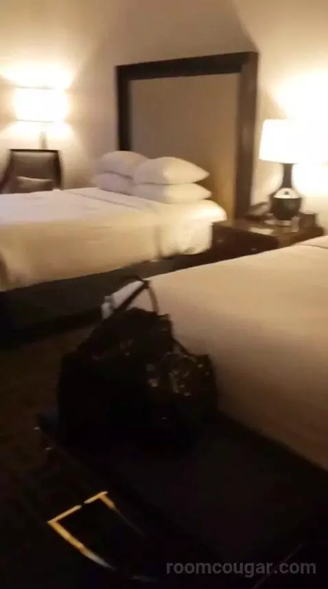 thecomplife's review preview (Caesars Palace Hotel & Casino)