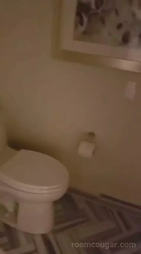 Palace Premium Studio Suite, 2 Queens bathroom picture #4