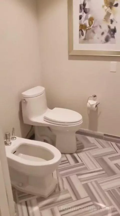 Palace Premium Studio Suite, 2 Queens bathroom picture #8