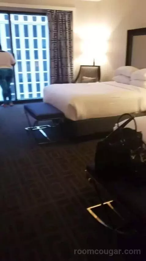 Palace Premium Studio Suite, 2 Queens bed picture #3