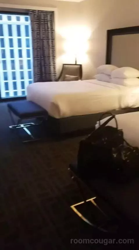 Palace Premium Studio Suite, 2 Queens bed picture #4