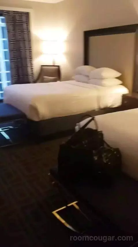 Palace Premium Studio Suite, 2 Queens bed picture #5