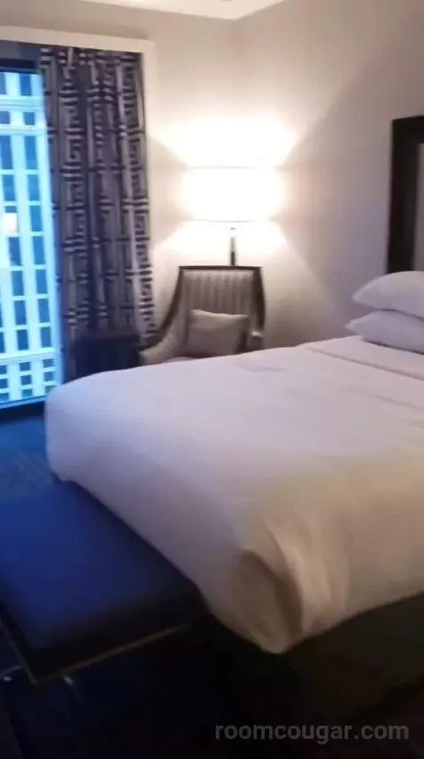 Palace Premium Studio Suite, 2 Queens bed picture #7