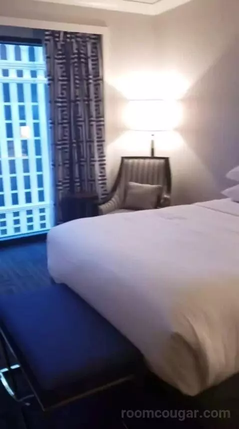 Palace Premium Studio Suite, 2 Queens bed picture #8