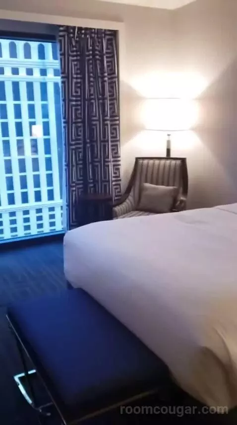 Palace Premium Studio Suite, 2 Queens bed picture #9