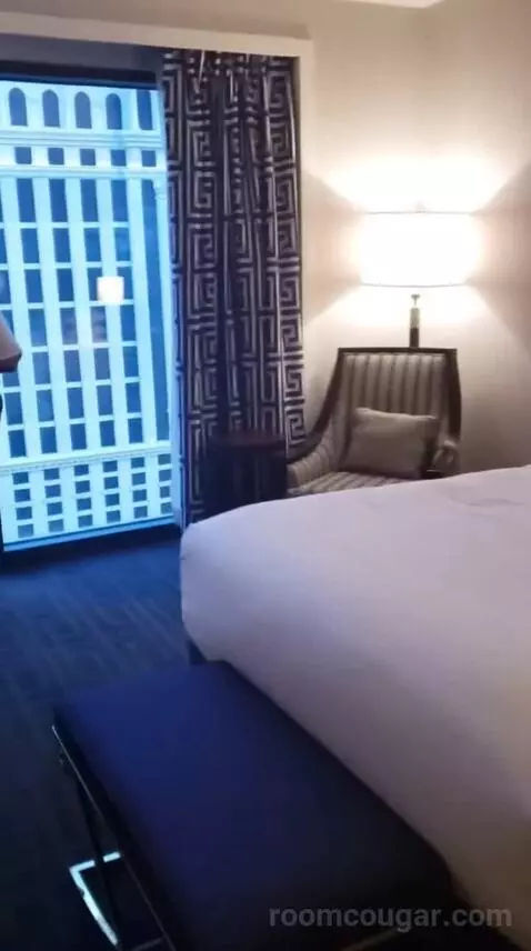 Palace Premium Studio Suite, 2 Queens bed picture #10