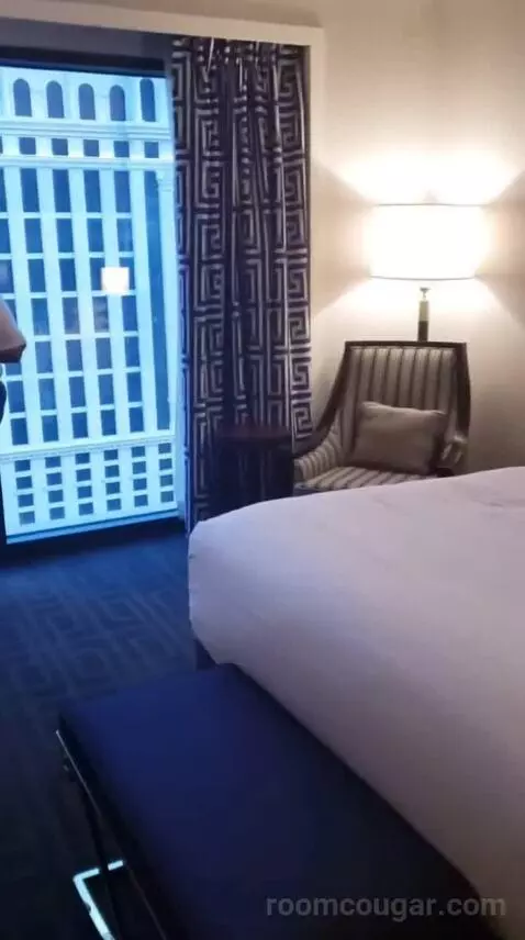 Palace Premium Studio Suite, 2 Queens bed picture #11