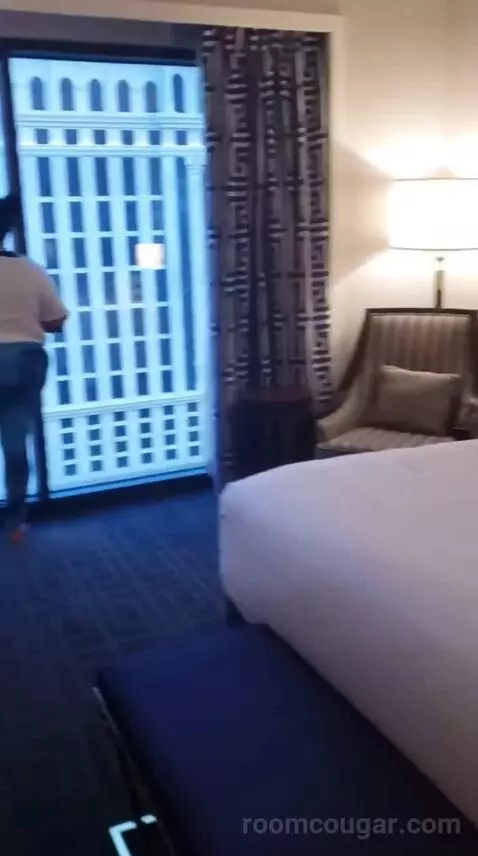 Palace Premium Studio Suite, 2 Queens bed picture #12