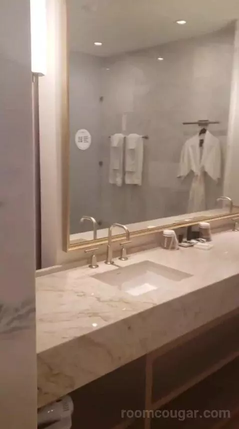 Deluxe King Room (Oasis Tower) bathroom picture #1