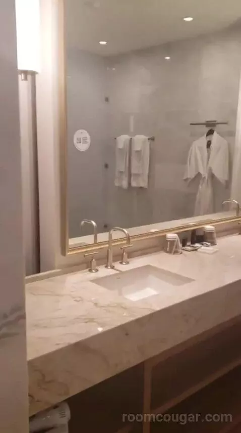 Deluxe King Room (Oasis Tower) bathroom picture #2