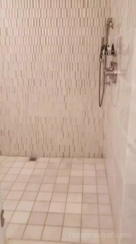 Deluxe King Room (Oasis Tower) bathroom picture #4