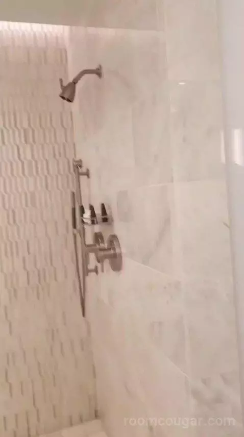 Deluxe King Room (Oasis Tower) bathroom picture #5