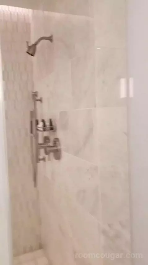 Deluxe King Room (Oasis Tower) bathroom picture #6