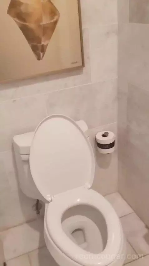 Deluxe King Room (Oasis Tower) bathroom picture #7