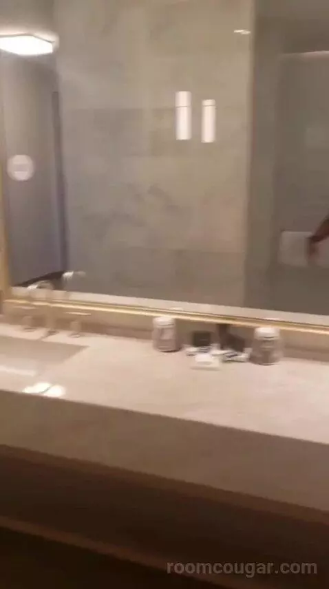 Deluxe King Room (Oasis Tower) bathroom picture #10