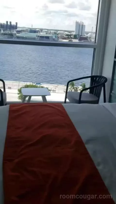 Infinite Veranda (#10270) view picture #2
