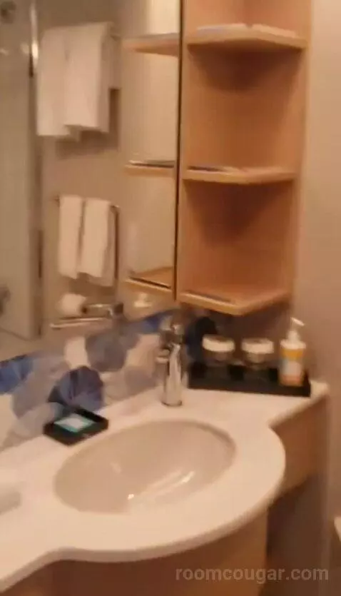 Jr Suite (#12636) bathroom picture #4